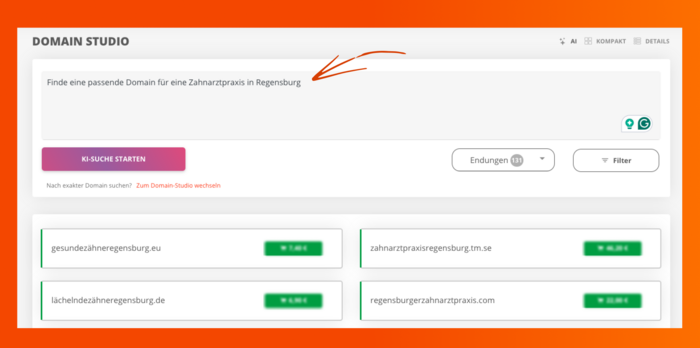 KI-Suche im Domain Studio
