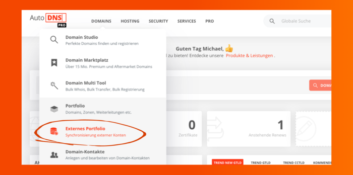 Externes Domain-Portfolio